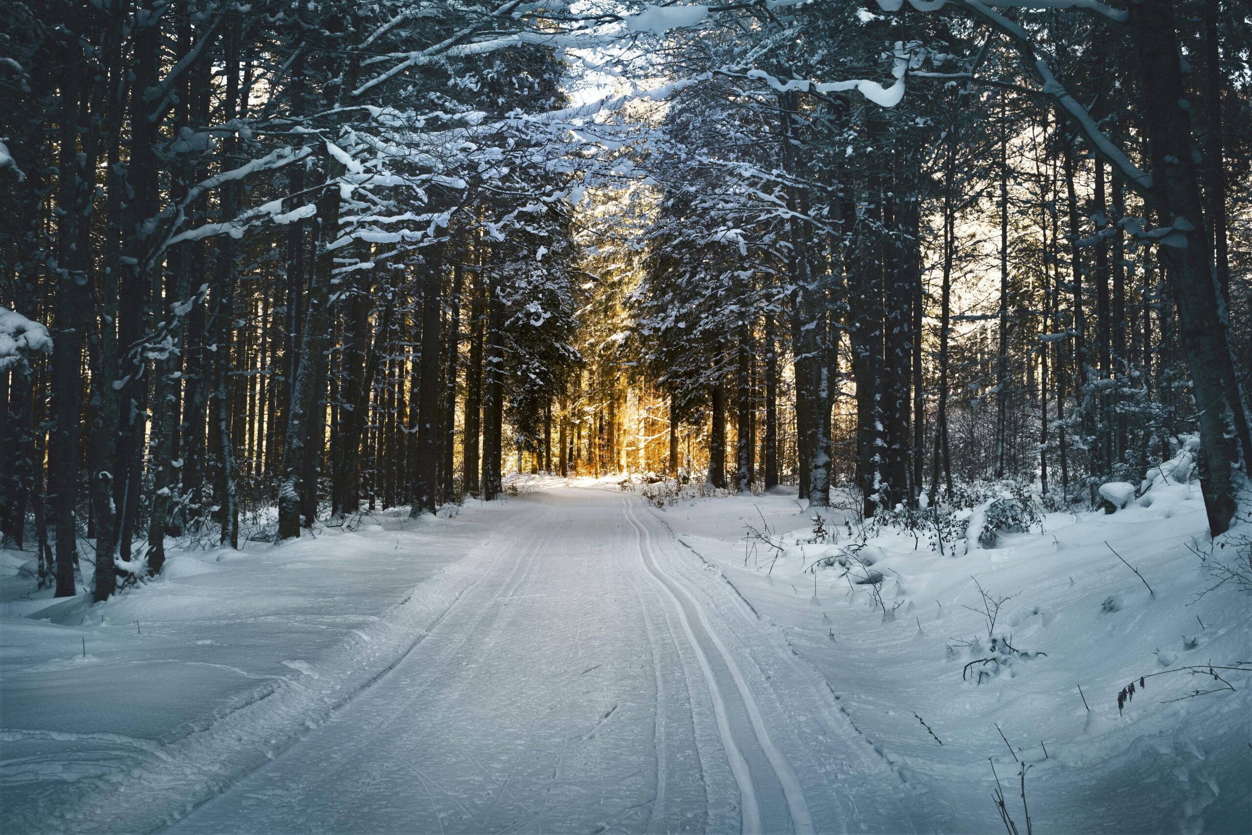 Winter Winter-Ready Translation Package
