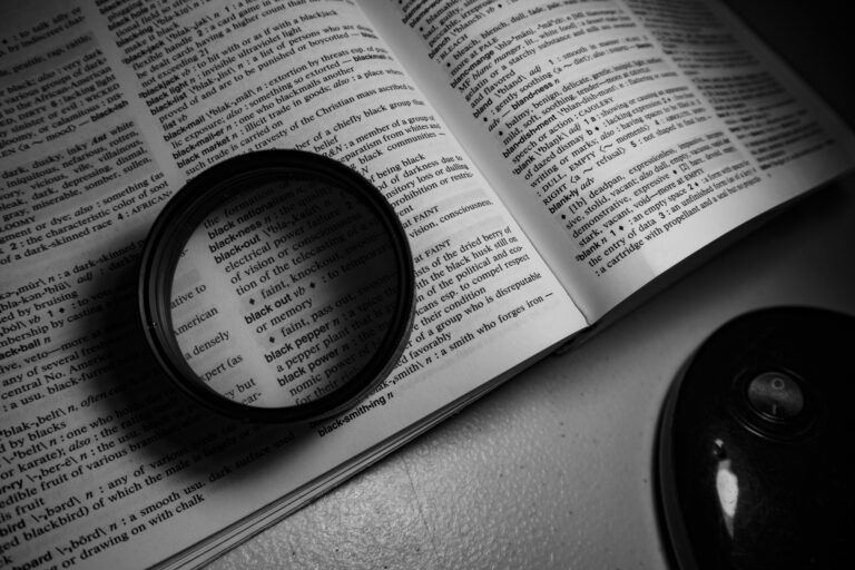 Terminology management services